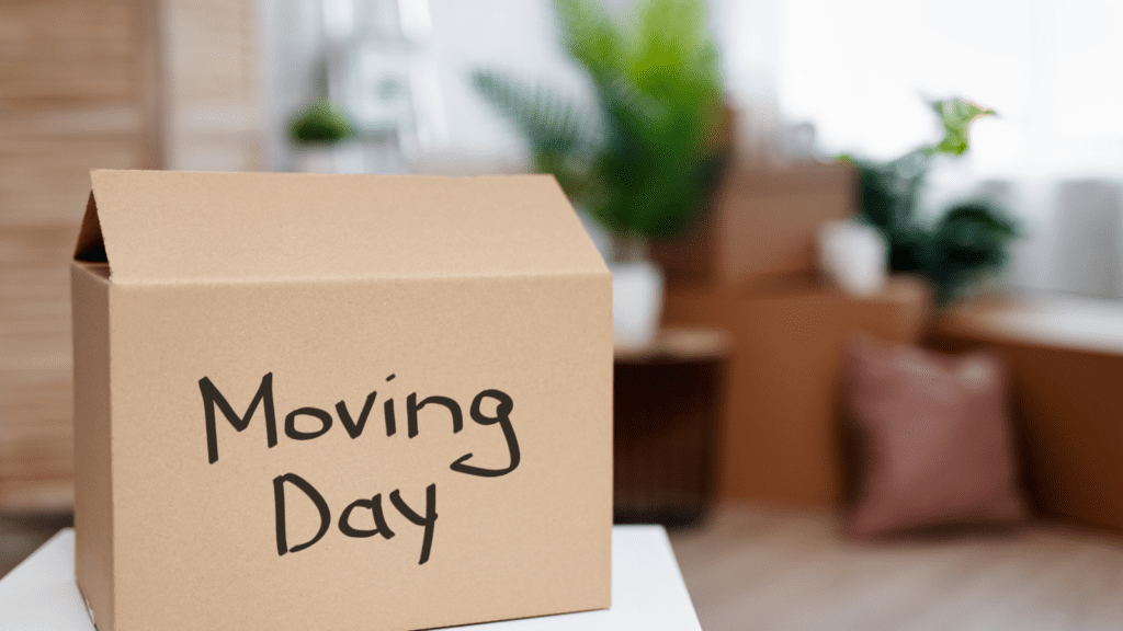 A moving box with the words moving day written on it, in a packed up room